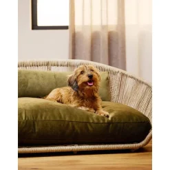 Cama Para Mascotas De Interior/Exterior Vogue